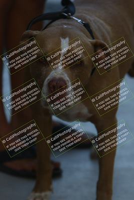 media/Sep-27-2025-24 Hours of Lemons (Sat) [[04fd3ac4ac]]/Around the Pits/